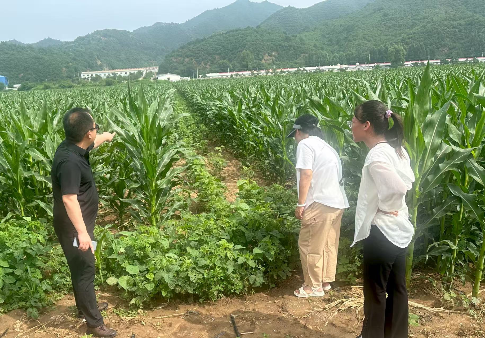 3f2d757c26ff870640e8a58d34e3b6f2.jpg 3f2d757c26ff870640e8a58d34e3b6f2.jpg