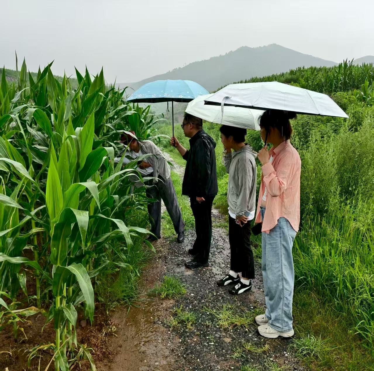 c067d0d20d8557be679be6ad6bccd245.jpg c067d0d20d8557be679be6ad6bccd245.jpg