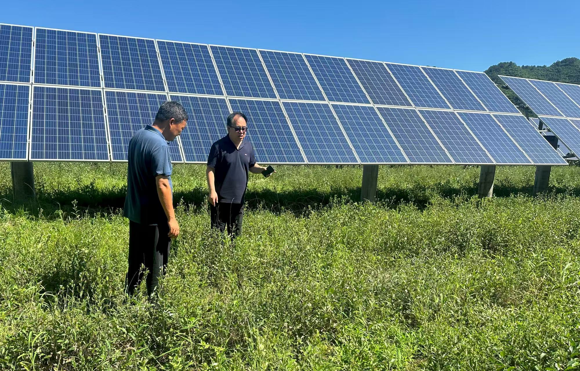 0ce7c93675c0297d7761e1ecaff08d06.jpg 0ce7c93675c0297d7761e1ecaff08d06.jpg